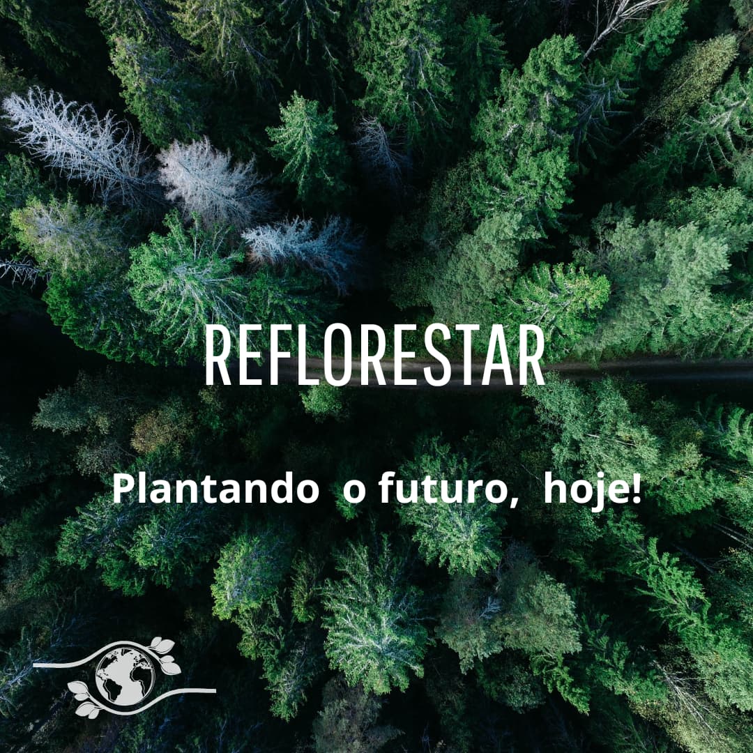 Reflorestar – Web Site